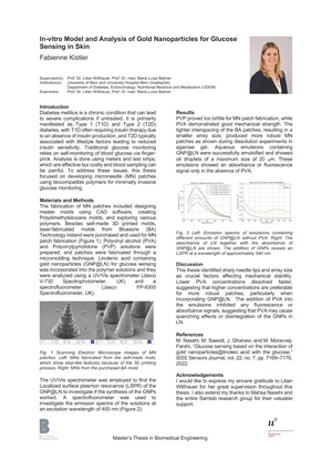 image from Master Thesis Defense Fabienne